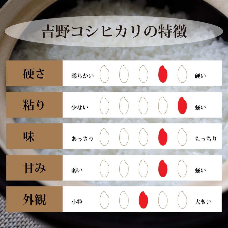 玄米 コシヒカリ 10kg 石川県産 10キロ 5kg×2袋 令和5年産 新米 吉野こしひかり