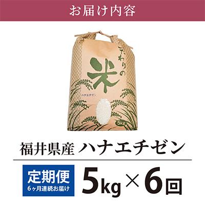 ふるさと納税 越前町 ハナエチゼン 5kg × 6回　福井県産[白米]全6回