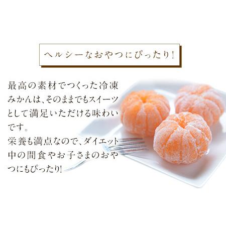 ふるさと納税 冷凍みかん ご家庭用 約5kg サンファーム《30日以内に順次出荷(土日祝を除く)》和歌山県 紀の川市 和歌山県紀の川市