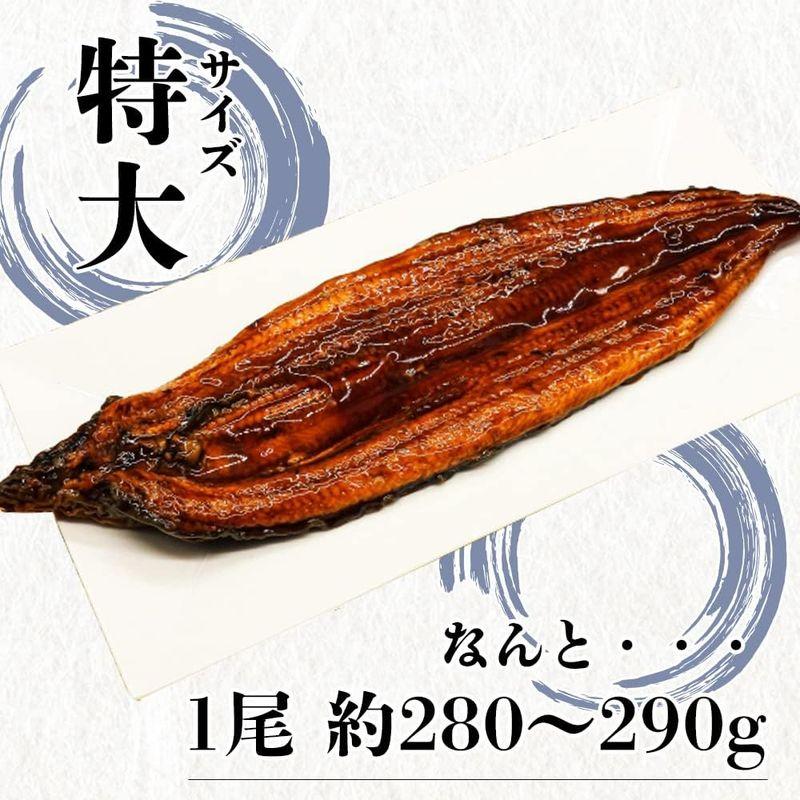 うなぎ蒲焼 鰻蒲焼 2尾 特大サイズ 蒲焼 土用の丑の日 うなぎ ウナギ 鰻 中国産 shr-021
