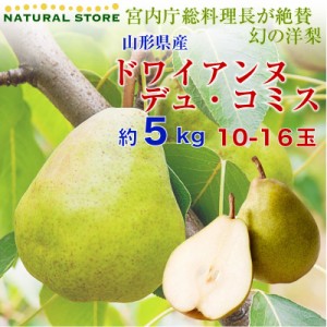 [予約 10月1日-10月15日の納品] 洋梨 ドワイアンヌ・デュ・コミス 約5kg 10-16玉 山形県産 秋ギフト 洋梨 山形県 ラフランス