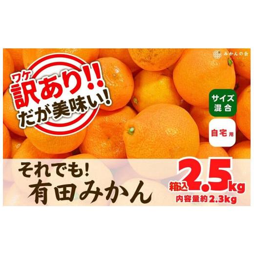 ふるさと納税 和歌山県 有田川町 訳あり それでも 有田みかん 箱込 2.5kg (内容量約 2.3kg) B品 サイズミックス 和歌山県産 