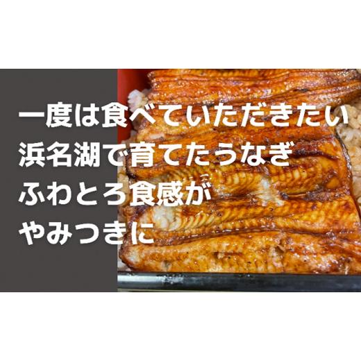 ふるさと納税 静岡県 湖西市 うなぎ蒲焼き（真空パック）×2本　タレ・山椒・お吸い物付