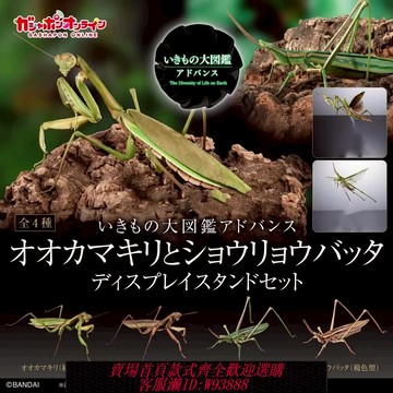 {可刷卡 打統編}【現貨】萬代正版扭蛋 生物大圖鑒 螳螂蚱蜢 仿真昆蟲 模型擺件
