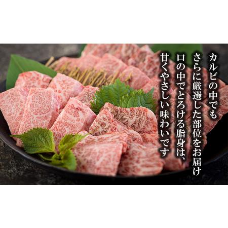 ふるさと納税 宮崎県産 黒毛和牛 特選 カルビ 焼肉 500g 牛肉 炒め 牛肉 焼肉 BBQ バーベキュー キャンプ 牛肉 焼肉 カルビ 焼肉 牛肉 普段使い .. 宮崎県美郷町