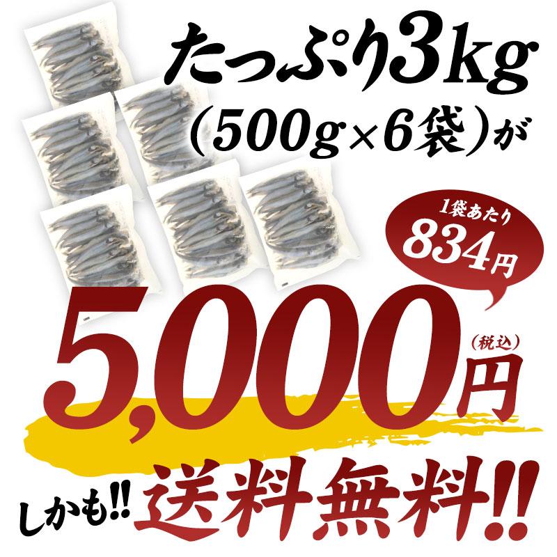 [タイムセール] 子持ちししゃも 3kg（500g×6袋）［冷凍］