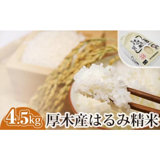 ふるさと納税 神奈川県 厚木市 No.301 厚木産はるみ精米　4.5kg ／ お米 ブランド米 特A 神奈川県