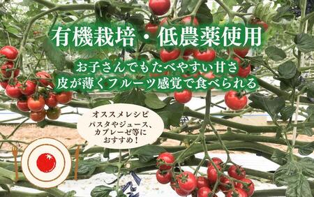 完熟 ミニトマト 2kg  果物のような甘さと美味しさキャロルセブン｜ミニトマト キャロルセブン 糖度