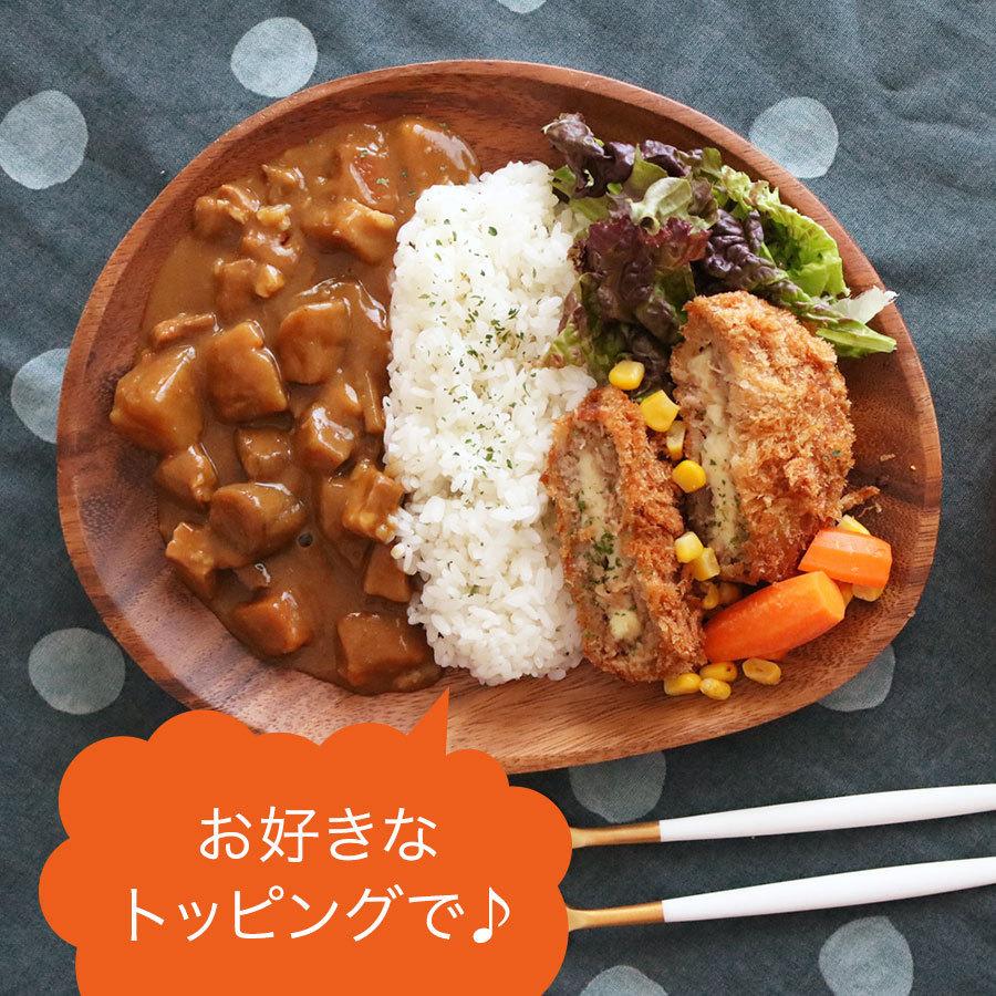 送料無料 豚ごぼうカレー（観音池ポーク使用） 200g×2個 お手軽便