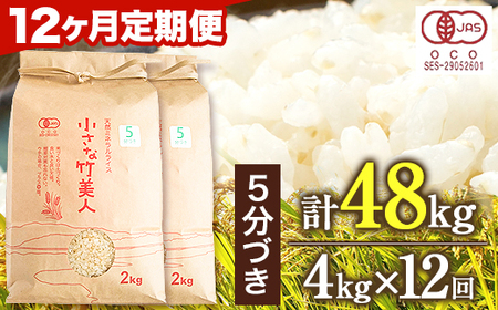 令和5年産 小さな竹美人 5分づき 米 4kg(2kg×2袋) 株式会社コモリファーム《お申込み月の翌月から出荷開始》