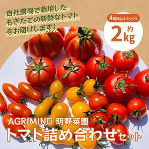 ふるさと納税 AGRIMIND　明野菜園トマト詰め合わせセット 山梨県北杜市