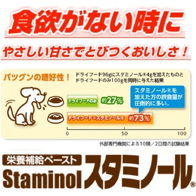 スタミノールV 犬用 100g