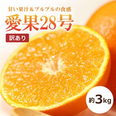 ふるさと納税 松山市 愛果28号　約3kg