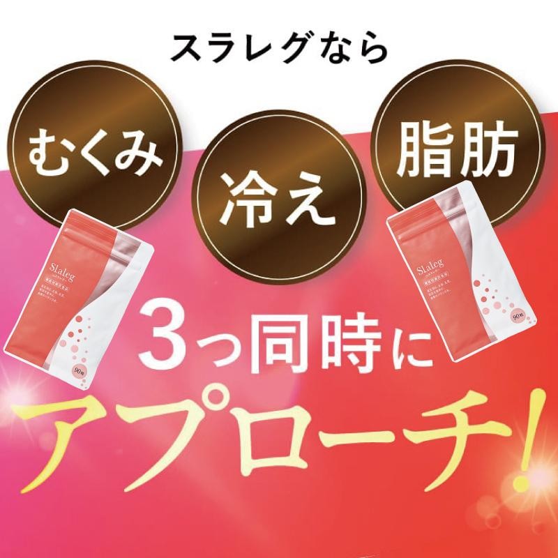 スラレグ 90粒 - 健康用品