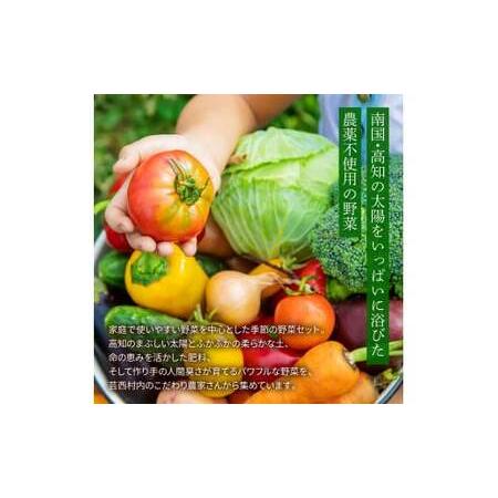 ふるさと納税 野菜セット（11‐13種類）《3カ月定期便》 栽培期間中農薬不使用！ 季節の野菜 定期コース 定期 無農薬 野菜 やさい 新鮮 自然 健.. 高知県芸西村