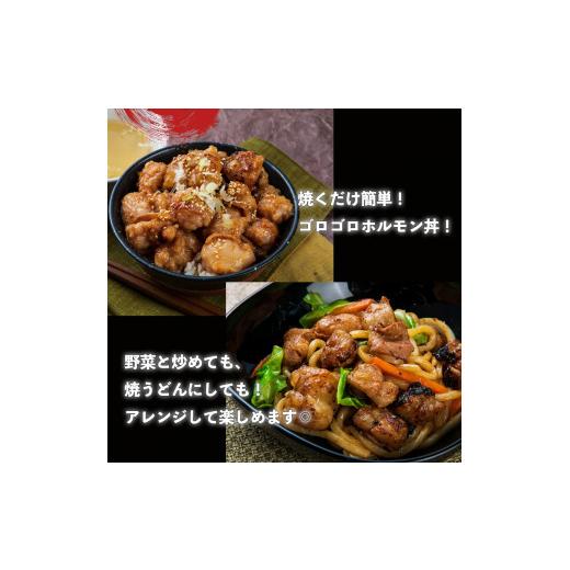 ふるさと納税 愛知県 小牧市 山樹の国産牛とろホルモン焼き（味付き／タレ）1kg