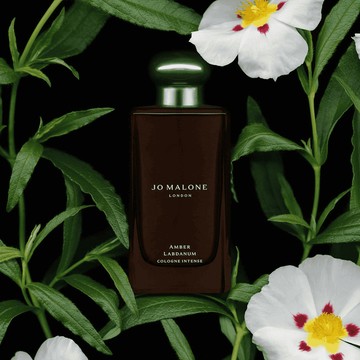 新品上市【Jo Malone London】琥珀與岩薔薇芳醇香水 100ml｜木質調