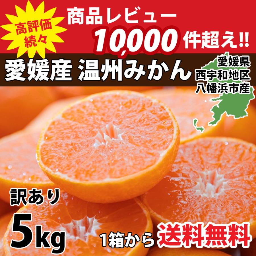 みかん 訳あり 5kg 送料無料 ご家庭用 2s 3l サイズ 15 90玉前後入り ミカン 果物 旬 フルーツ 愛媛産 3営業日以内に出荷 通販 Lineポイント最大0 5 Get Lineショッピング