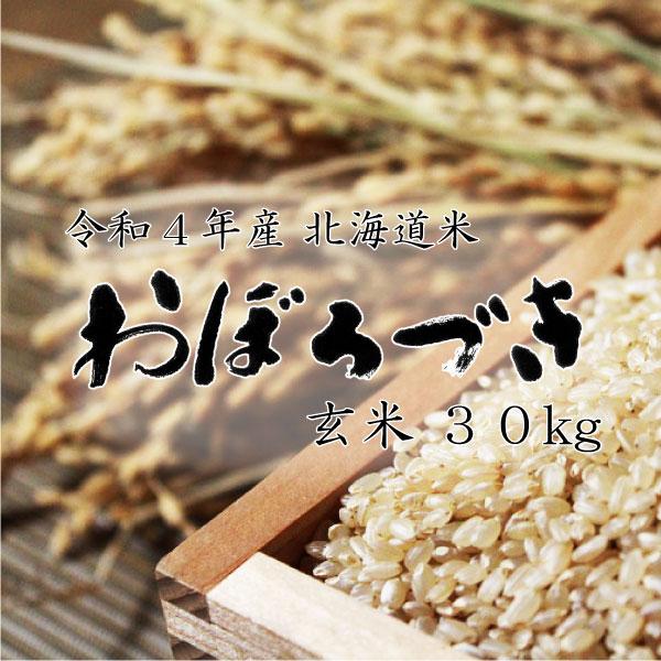 新米 米30kg お米 北海道米 おぼろづき 玄米 30kg 令和５年産 精米無料 送料無料