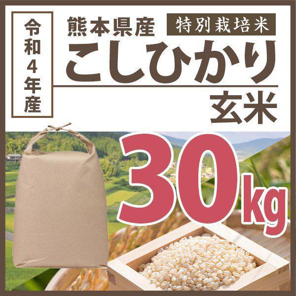 玄米 令和5年産 熊本県こしひかり 30kg