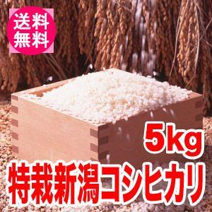 送料無料(北海道・九州・沖縄除く)令和5年産 新米 こだわり！特別栽培米新潟県阿賀野産コシヒカリ5kg