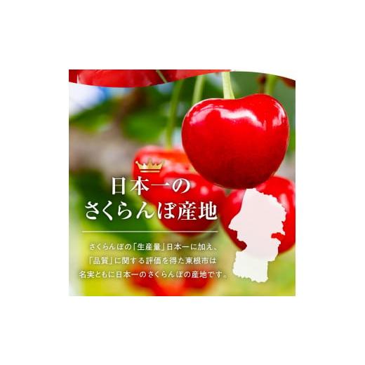 ふるさと納税 山形県 東根市 GI「東根さくらんぼ」 2024年産 紅秀峰800gバラ詰め JA産直提供