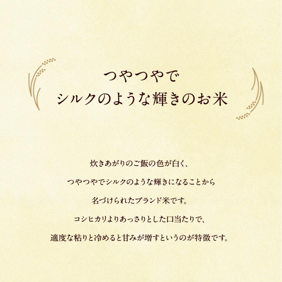 新米 兵庫県産キヌヒカリ 10kg（5kg×2袋）  送料無料 令和5年産 キヌヒカリ 精米 お米 米 兵庫県産 10kg（北海道・沖縄別途送料）（配達日・時間指定は不可）