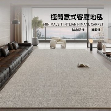 【匠俱】意式極簡風 地毯 200x340cm 客廳防污免洗可擦地墊 輕奢高級感易打理