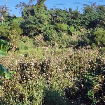 豐福段1046.77坪伊甸園｜新竹縣新豐鄉豐褔段