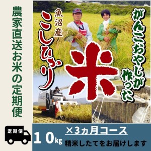 令和５年産新米がんこおやじが作った南魚沼産コシヒカリ白米１０kg（５kg×２袋）