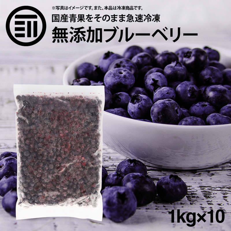 ノースイ VeryBerry ブルーベリー 500g×10袋 - フルーツ・果物