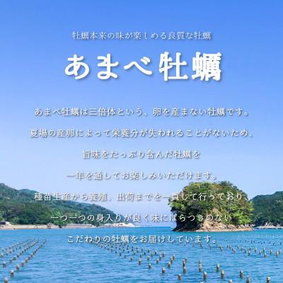 ふるさと納税 海陽町 シングルシード 方式でつくられたあまべ牡蠣(10個)