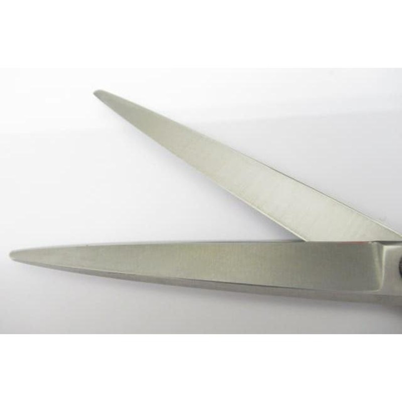 はさみ 天洋 G golden Tenyo