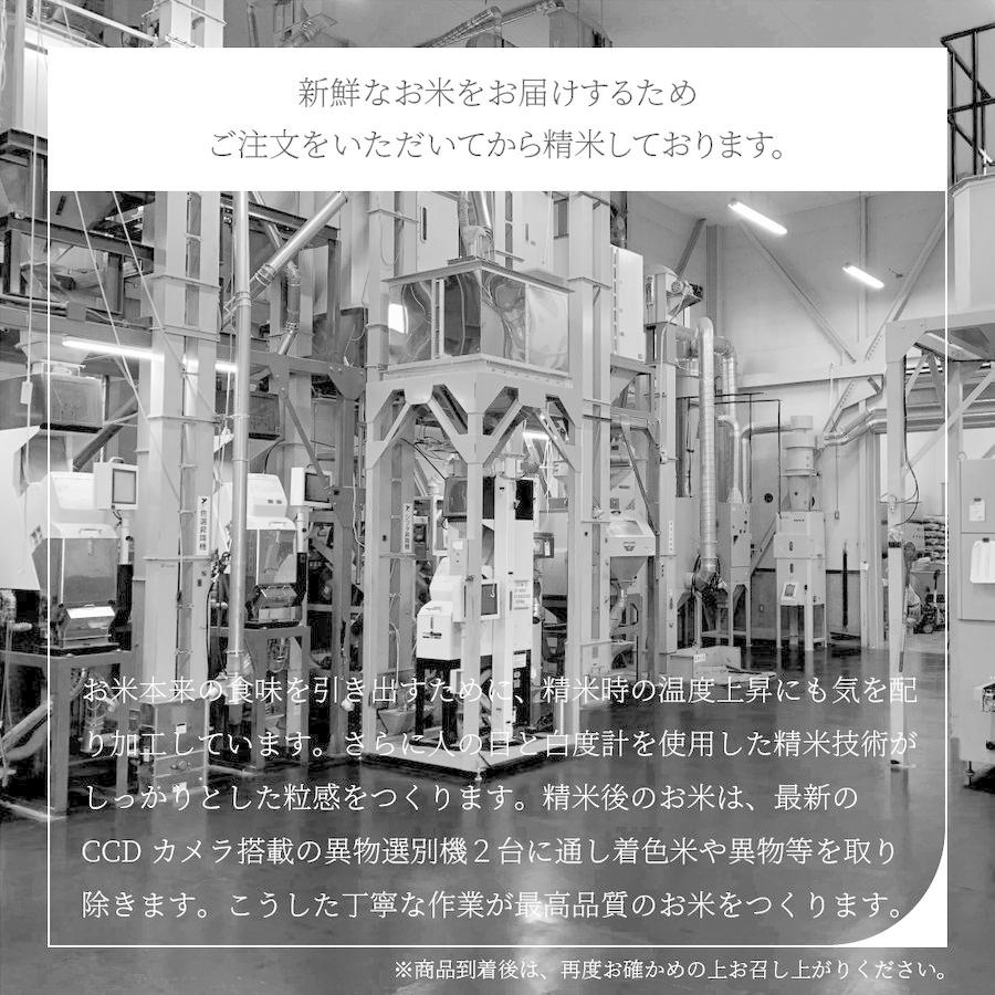 お米 コメ 雪若丸 新米 10kg 5kg×2 無洗米 送料無料 山形県産 令和5年産 令和五年産