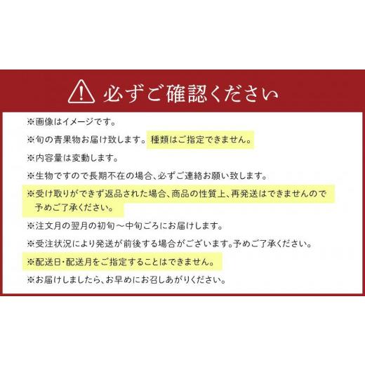 ふるさと納税 和歌山県 上富田町 紀南の採れたて新鮮野菜・フルーツ・お米詰め合わせセット（8〜15品目詰め合わせ）