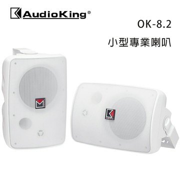 【澄名影音展場】AudioKing 台灣撼聲 OK-8.2 小型專業喇叭/懸吊式喇叭/對