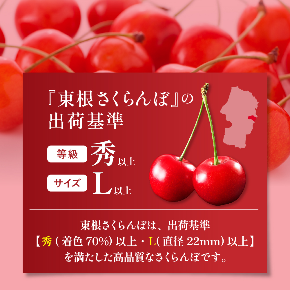 2024年産GI「東根さくらんぼ」佐藤錦300g化粧箱詰め 東根農産センター提供　hi027-080