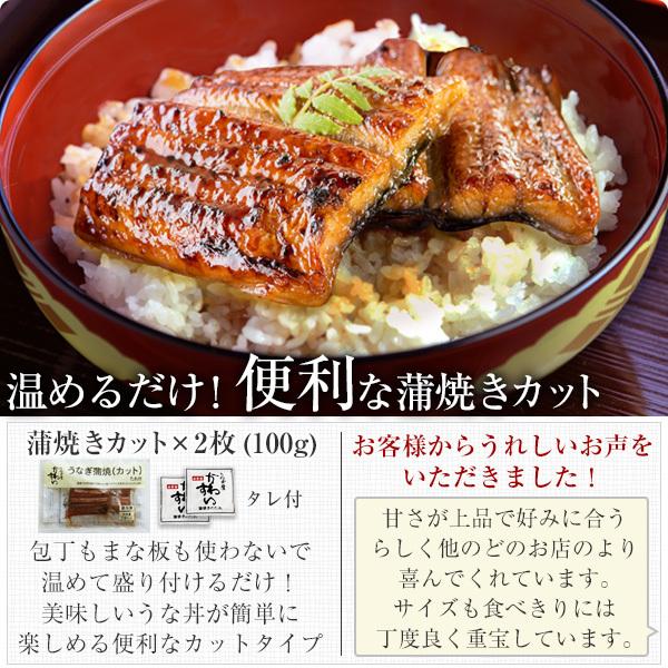 お歳暮 御歳暮 ギフト うなぎ 蒲焼き 国産 特大うなぎ1尾と蒲焼きカット2枚 ウナギ 鰻 蒲焼 送料無料