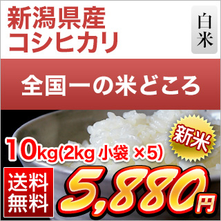 新米 令和5年(2023年)産 新潟県産 コシヒカリ 10kg（2kg×5袋）（白米）