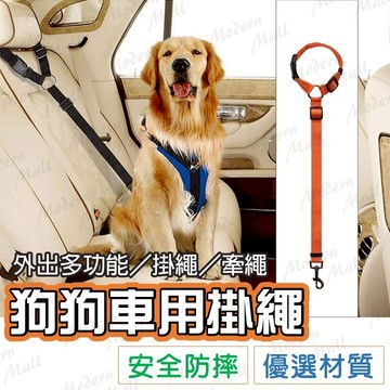 防狗跳車 汽車安全繩【多功能｜掛繩｜牽繩 💎台灣現貨】遛狗神器  牽繩 防狗跳車 一件多用 彈力牽繩 緩衝減緩 防暴衝
