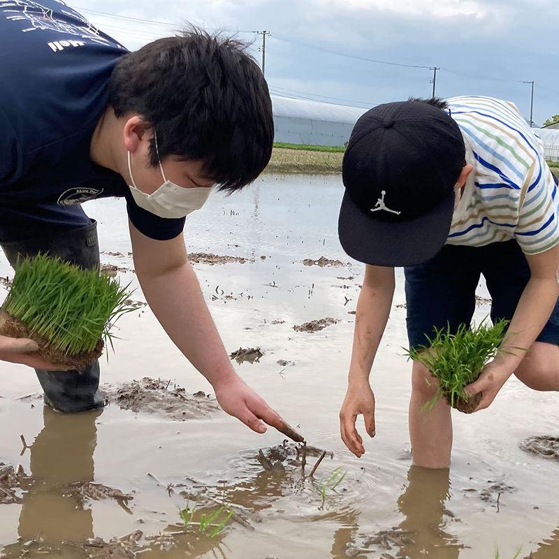 水菜土農園 新米玄米令和4年産 宮城県産 ひとめぼれ 30kg (5kg×6袋) 古代米お試し袋付き