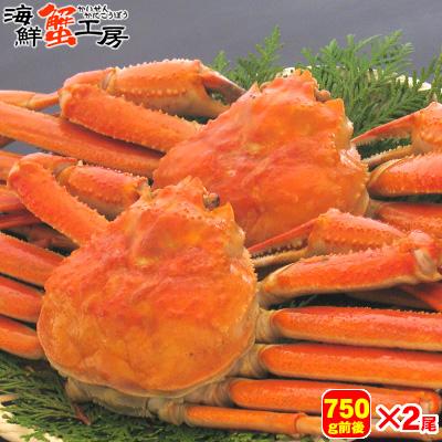 ボイル ズワイガニ 姿 750g前後 2尾 セット ずわいがに 蟹味噌 贈り物 蟹 お取り寄せ ギフト グルメ 送料無料 かに 北海道 プレゼント