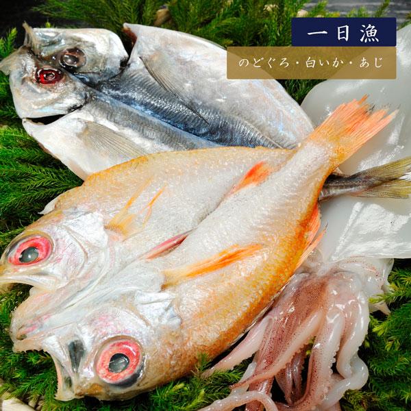 干物セット 島根県沖一夜干し お試し干物3点セットＢ （のどぐろ、白いか、あじ） 岡富商店