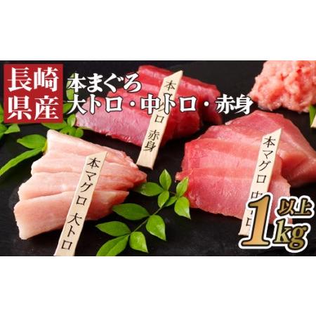 ふるさと納税 長崎県産本まぐろ(大トロ・中トロ・赤身)1,000g以上 長崎県佐世保市