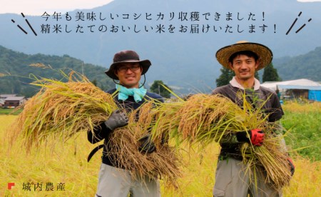 新米 令和５年産 南魚沼産コシヒカリ 無洗米２０ｋｇ　 城内農産
