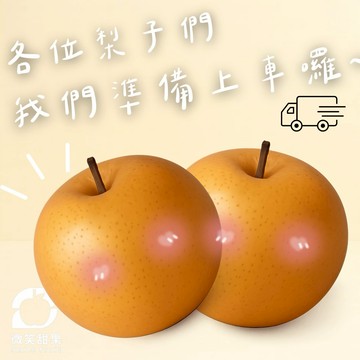 快速出貨｜節日送禮｜生日禮｜送禮首選｜韓國梨禮盒｜大顆爆汁｜體面高級【微笑甜果】