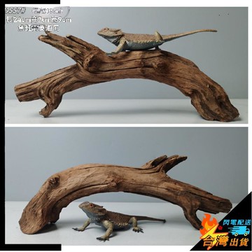 【台灣出貨】爬寵攀爬木 鬃獅蜥曬臺捷角守宮 蛇躲避 飼養箱造景 天然枯木 樹枝沉木