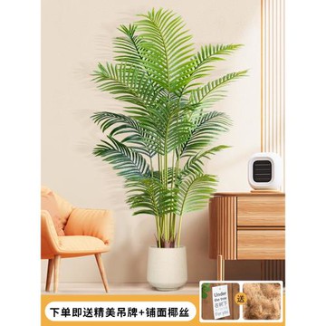 仿生綠植仿真散尾葵假樹植物盆栽鳳尾葵室內客廳大型落地裝飾擺件