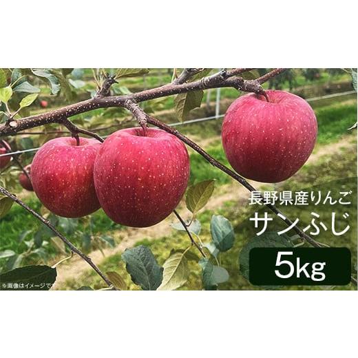 ふるさと納税 長野県 山形村 2408長野県産りんご（サンふじ）5kg