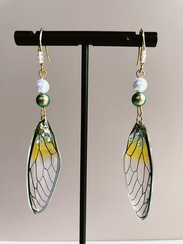 原創黃綠色真蝴蝶翅膀